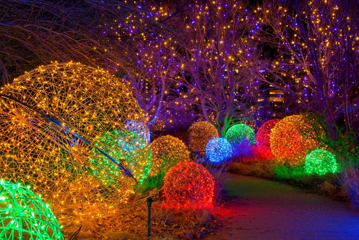 Blossoms of Light Event at Denver Botanic Gardens