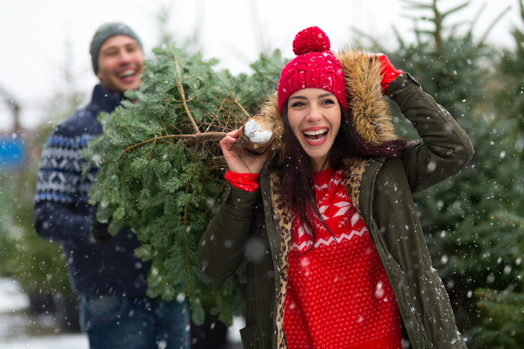 city parks boost mood as much as christmas, study finds