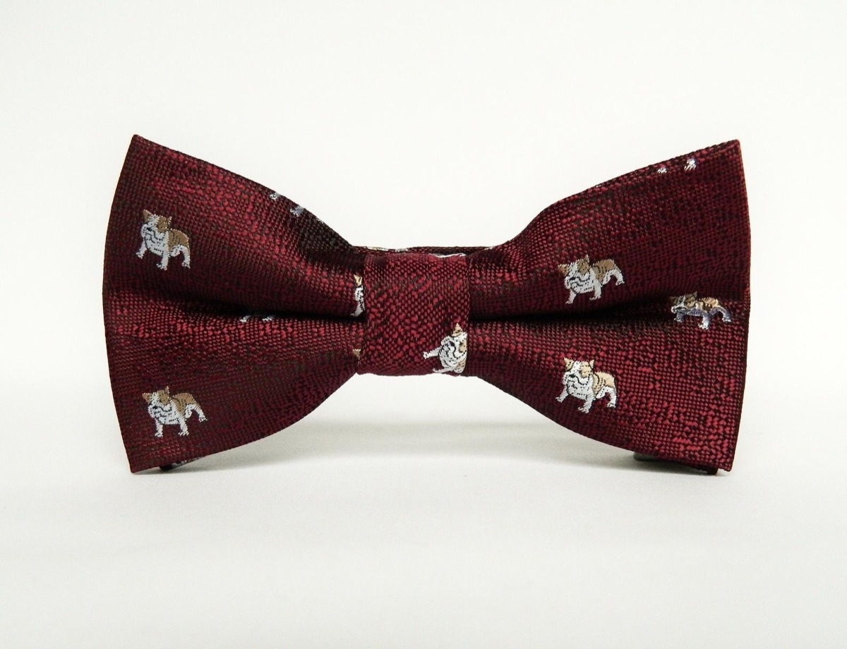 burgundy bow tie with bulldog print