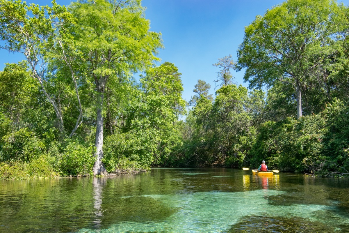 kayaker weeki wachee state park