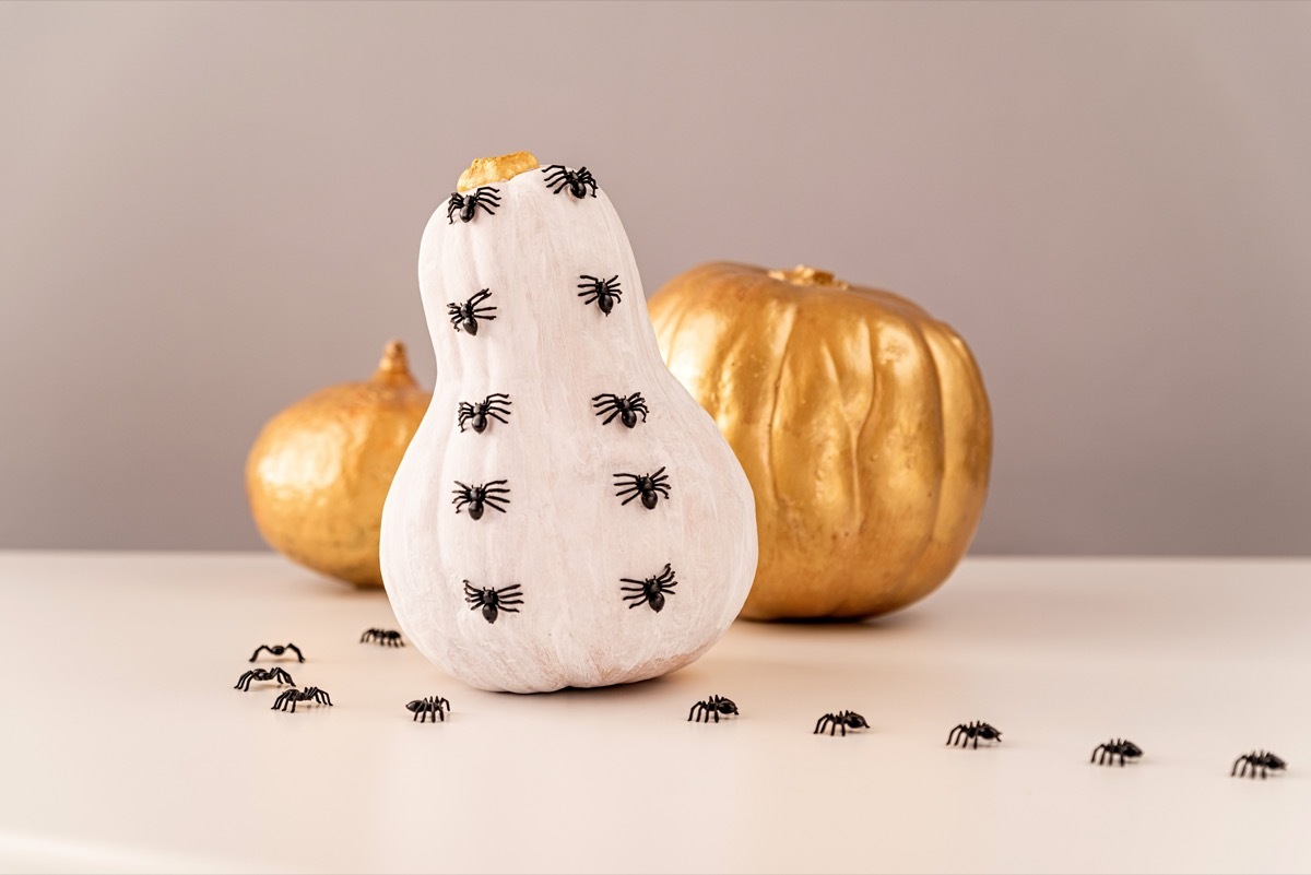 Painted Gourds For Halloween Halloween Crafts