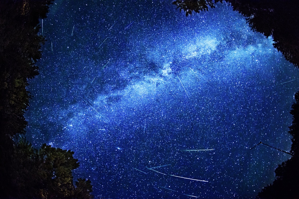 perseid meteor shower