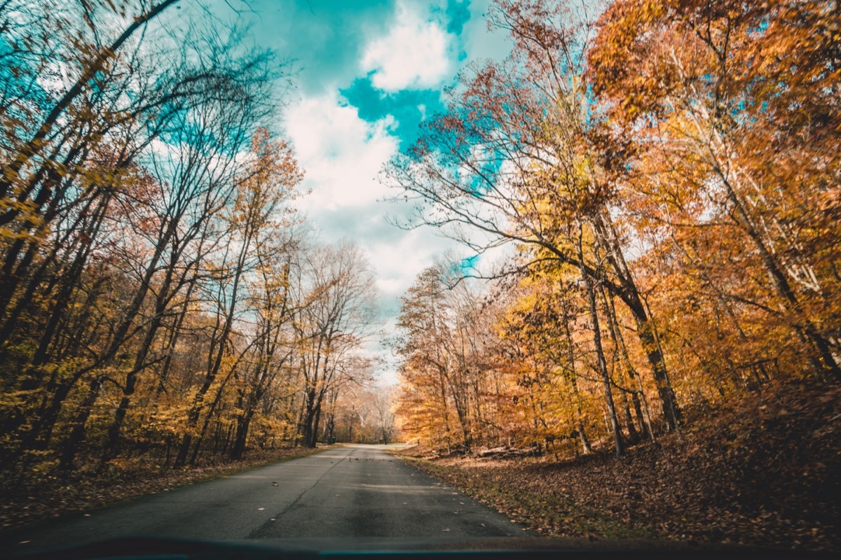 a road and trees in Louisville, near Indiana Hills, Kentucky