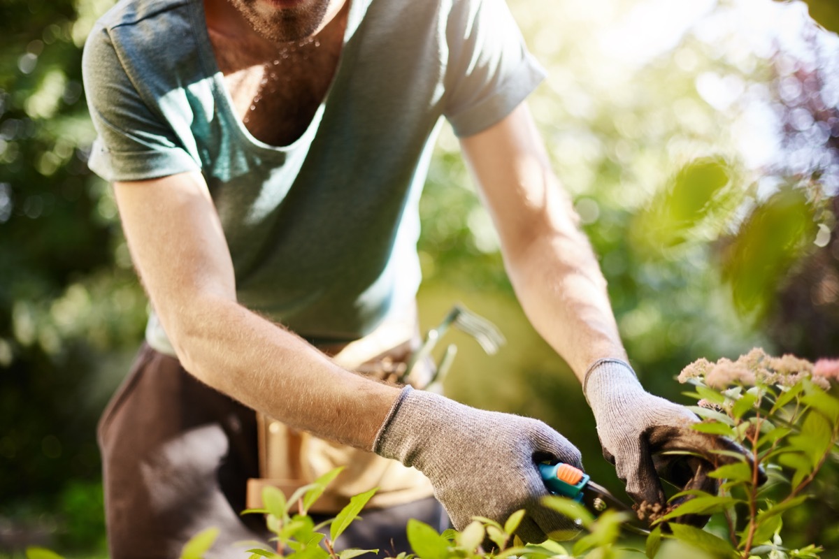 man trimming plants in a garden help the earth