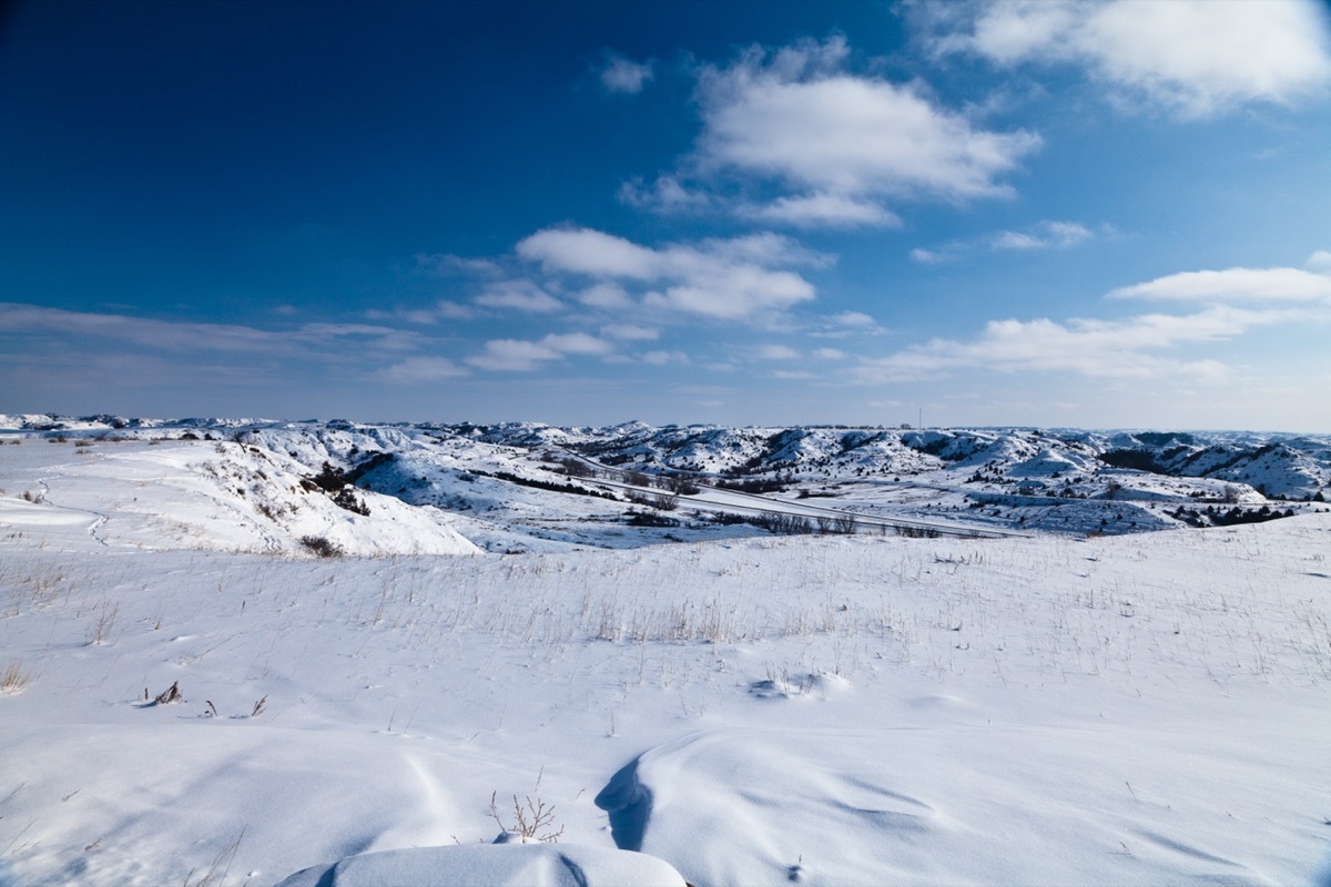 teddy roosevelt national park