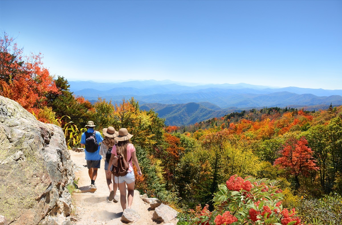 fall foliage in asheville, north carolina