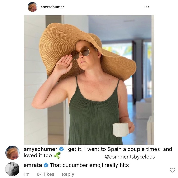 Amy Schumer pokes fun at Hilaria Baldwin