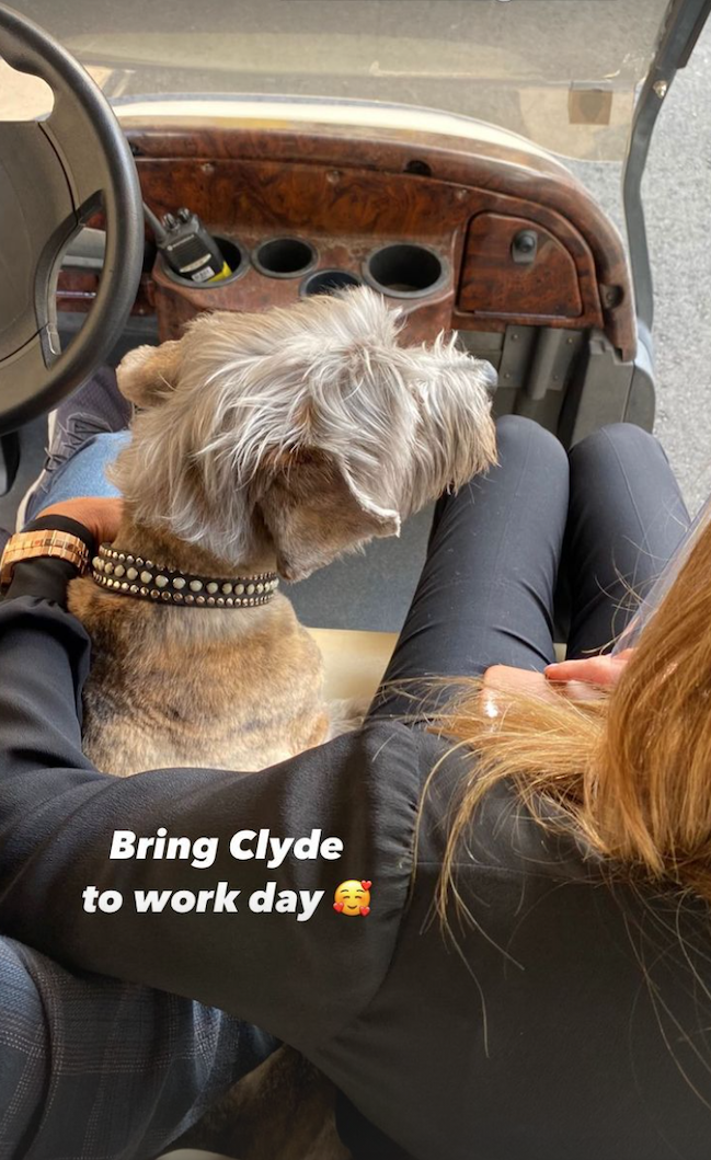 Jennifer Aniston's dog Clyde riding in a golf cart on 