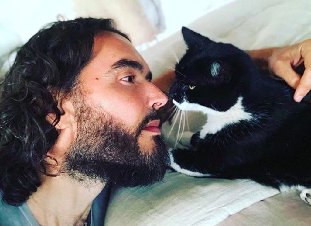 Russell Brand's cat Morrisey